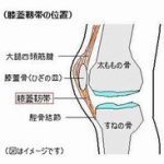 膝のお皿の奥が痛い【平塚市で膝蓋骨の治療ができる整体院】